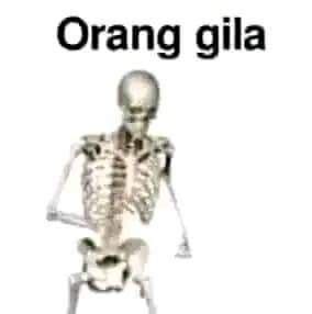 bokep orang gila|Orang Gila Porn Videos 